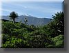 IMG_0800.JPG
