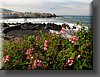 IMG_2164.JPG