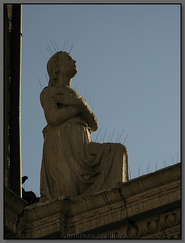 IMG_3009.JPG